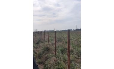 Campo en Coronel Vidal