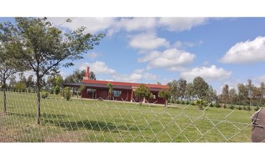 Campo en Coronel Vidal