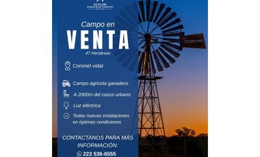 Campo en Coronel Vidal