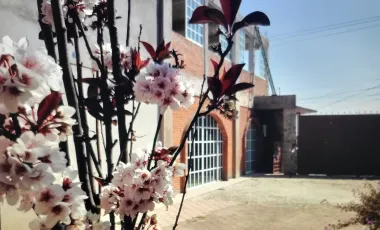 Renta de Bodega en Magdalena Chichicaspa
