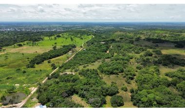 VENTA DE TERRENO VEREDA JAGUITOS PAZ DE ARIPORO