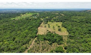 VENTA DE TERRENO VEREDA JAGUITOS PAZ DE ARIPORO