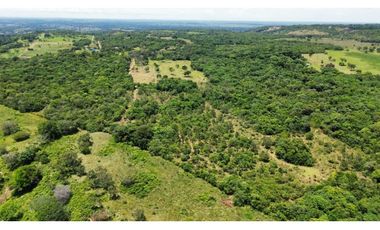 VENTA DE TERRENO VEREDA JAGUITOS PAZ DE ARIPORO