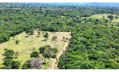 VENTA DE TERRENO VEREDA JAGUITOS PAZ DE ARIPORO