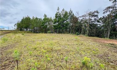 Venta de Lote en Parcelación El Retiro