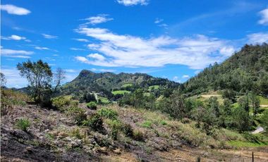 Venta de Lote Unidad Cerrada via Don Diego la Ceja