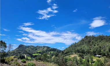 Venta de Lote Unidad Cerrada via Don Diego la Ceja