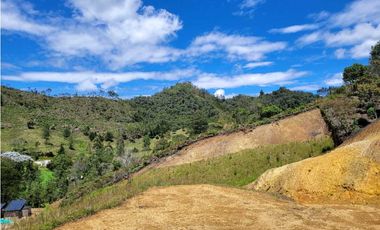 Venta de Lote Unidad Cerrada via Don Diego la Ceja