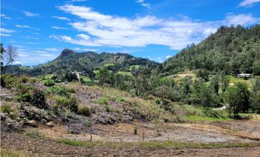 Venta de Lote Unidad Cerrada via Don Diego la Ceja