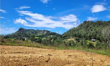 Venta de Lote Unidad Cerrada via Don Diego la Ceja