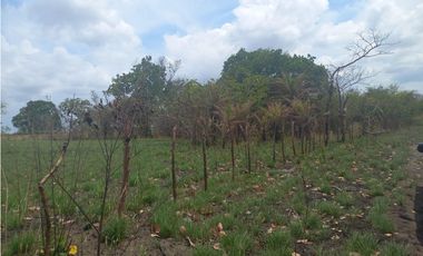 VENTA DE TERRENO EN ANTON - 7102 JC x RC