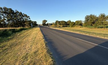 SE VENDE CAMPO SOBRE RUTA 11