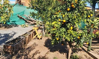 Parcela en venta en COLINA