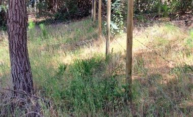 Sitio en Venta en fundo la quirigua terrreno