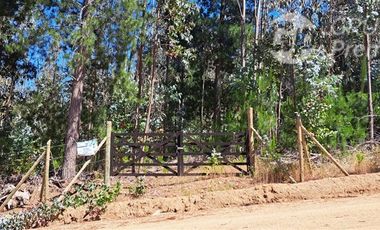 Sitio en Venta en fundo la quirigua terrreno