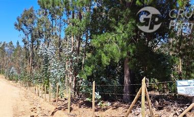 Sitio en Venta en fundo la quirigua terrreno