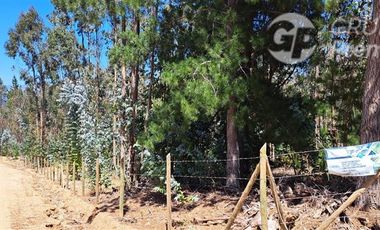 Sitio en Venta en fundo la quirigua terrreno