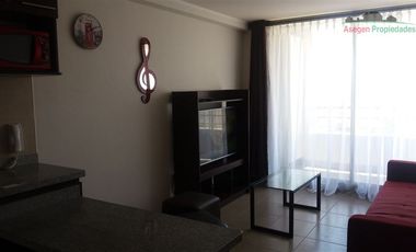 Departamento en Arriendo en Departamento amoblado en arriendo en Edificio Parque Alameda.