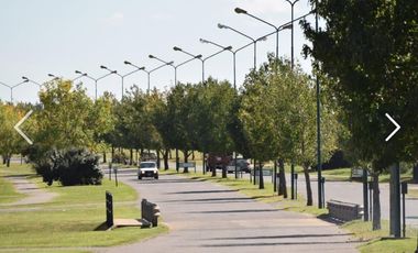 Terreno en  SANTA EMILIA PILAR DEL ESTE