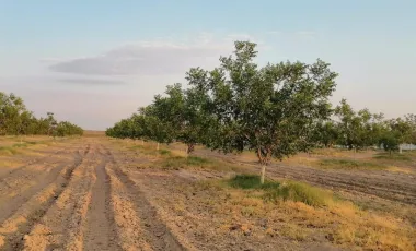 Finca-Rancho en venta en Santa Cecilia (La Cecilia), Parras, Coahuila de Zaragoza