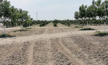 Finca-Rancho en venta en Santa Cecilia (La Cecilia), Parras, Coahuila de Zaragoza