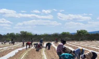 Terreno en venta en 1 de Mayo, Monclova, Coahuila de Zaragoza