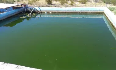 Terreno en venta en 1 de Mayo, Monclova, Coahuila de Zaragoza