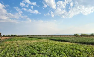 Terreno en venta en 1 de Mayo, Monclova, Coahuila de Zaragoza