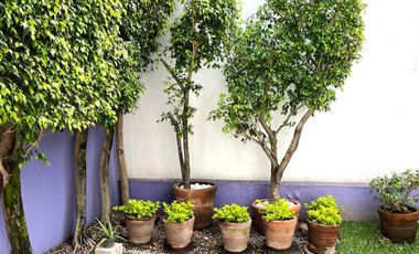 Casa Renta Acapantzingo, Cuernavaca Morelos