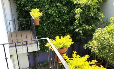 Casa Renta Acapantzingo, Cuernavaca Morelos