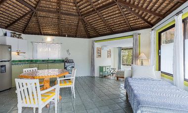 Pelican Palace | Bungalow Ecológico en Cabo Pulmo Fase I