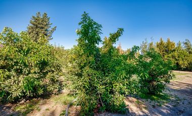 Gran casa familiar en parcela cercana a supermercados y colegios en Talagante