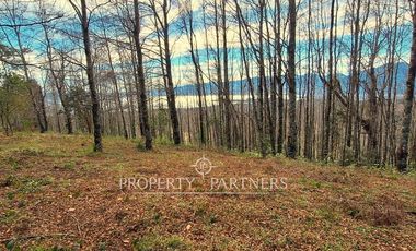 Parcelas con vista al Lago Villarrica