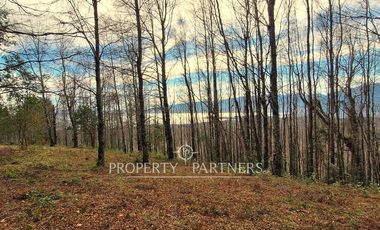 Parcelas con vista al Lago Villarrica