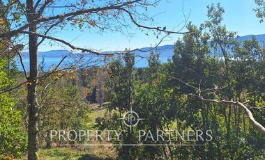 Parcelas con vista al Lago Villarrica