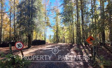 Parcelas con vista al Lago Villarrica