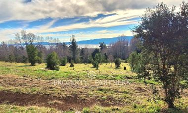 Parcelas con vista al Lago Villarrica