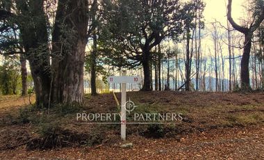 Parcelas con vista al Lago Villarrica