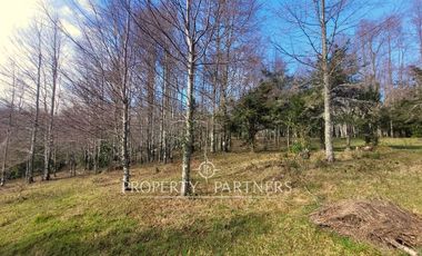 Parcelas con vista al Lago Villarrica