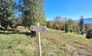 Parcelas con vista al Lago Villarrica