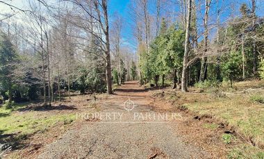 Parcelas con vista al Lago Villarrica