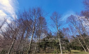 Parcelas con vista al Lago Villarrica