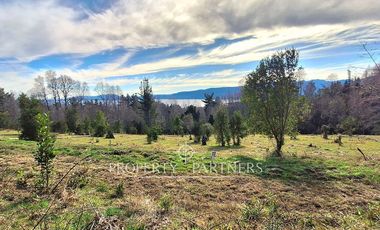 Parcelas con vista al Lago Villarrica