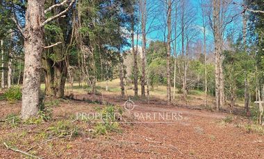 Parcelas con vista al Lago Villarrica
