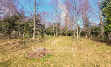 Parcelas con vista al Lago Villarrica