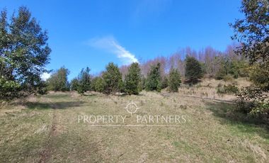 Parcelas con vista al Lago Villarrica