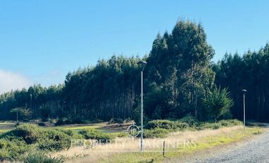 Parcela en condominio «Parque  Las Bandurrias», Puerto Varas