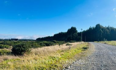 Parcela en condominio «Parque  Las Bandurrias», Puerto Varas