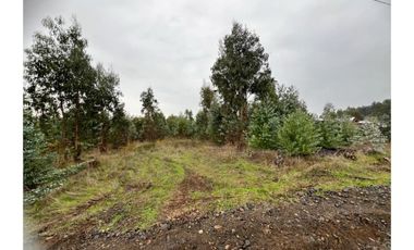 SECTOR QUILMO BAJO, CHILLAN VIEJO