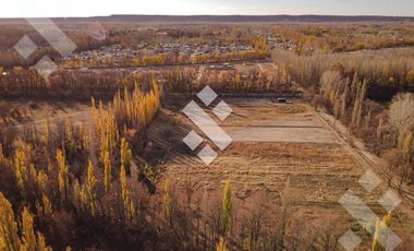 En Venta, Chacra de 7 Hectáreas, en Plottier, Neuquén